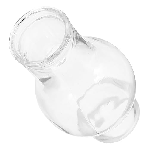 VALICLUD Repuesto de Quinqué de Transparente Pantalla de Vidrio para Lámpara de Aceite y Queroseno Accesorio Protector Antiviento para Iluminación y Emergencias