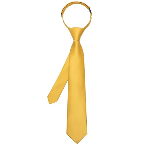 Image of Hi-Tie Pretied Boys Ties Solid Color Kids Adjustable Necktie Lapel Pin Clip Set Age 8-12 Wedding School Graduation