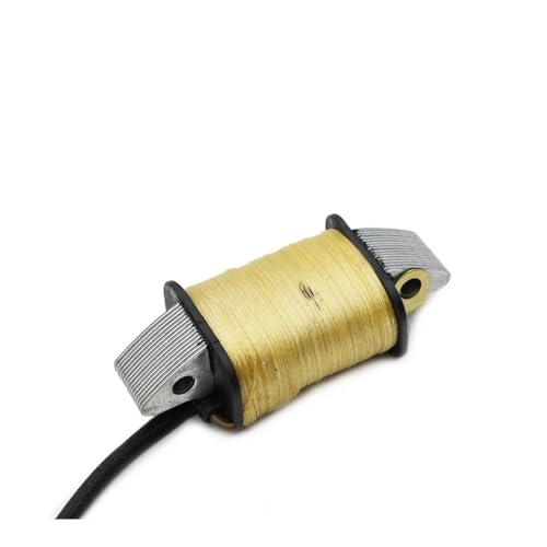 Stator d'allumage haute résistance pour YMH 60F 70B ET OL - 2