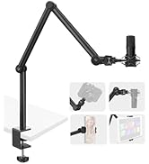 Blue マイクアーム　クランプ式 Blue Compassをレビュー。大きいマイクを上から吊るすのに最適なマイク