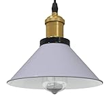 Que vous aimiez la lueur des ampoules LED, à incandescence ou à économie d'énergie, la lampe répondra à vos besoins