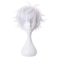 Amazon.co.jp: HIROAKIYA 虎杖悠仁 ウィッグ 呪術廻戦 虎杖悠仁