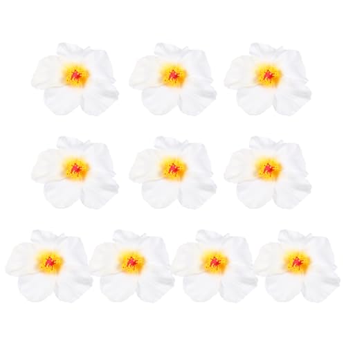 STOBAZA nCrXJX t[  nCrXJX̉ 10 nC̑  nCA C zf[ p[eB[ ߑ IW fR[V p wAANZT[ zCg