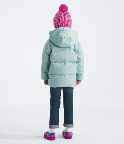 Image of THE NORTH FACE unisex-baby North Down Fleece-lined Parka