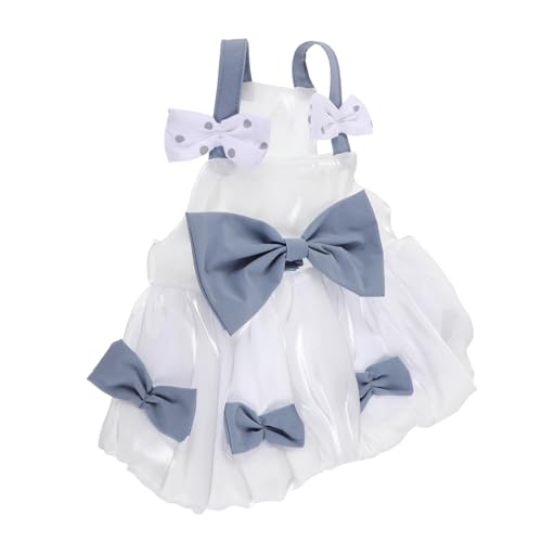 Alasum p p  XJ[g  уfUC o[Xf[   AEgt