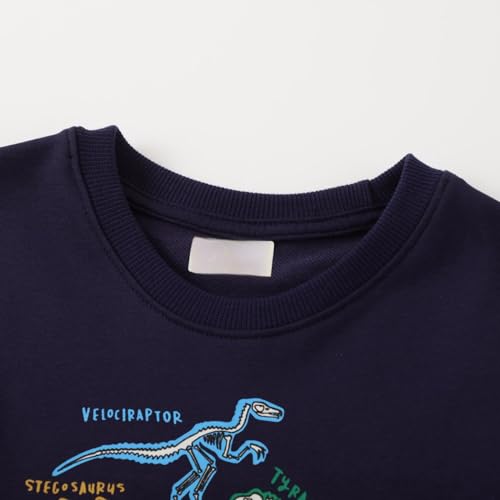 Toddler Boys' Dinosaur Sweater Autumn Round Neck Long Sleeve Pullover Top3