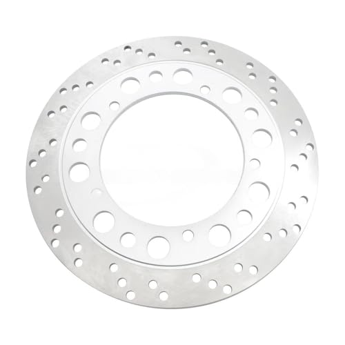 Disque de frein avant 295 mm de haute précision pour Steed - 5