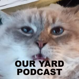 OUR YARD Podcast cover art