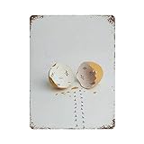 Caractéristiques : étanche, antireflet, simple à nettoyer, ne se décolore pas, design créatif, simple et élégant.
