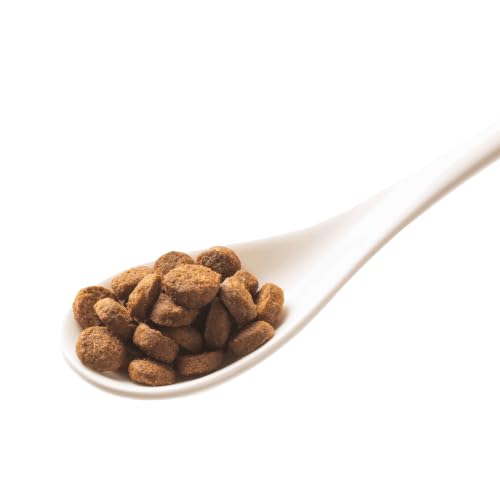 GranataPet Mini Royal Pferd, 1kg, mit Erbsen