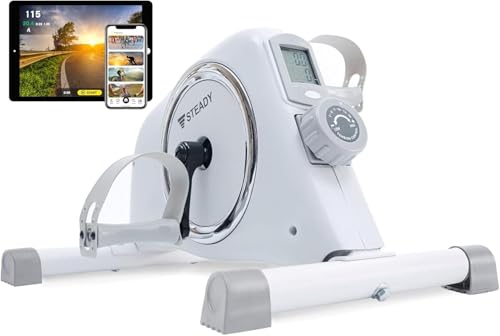 STEADY �ŐVUX���f�� �t�B�b�g�l�X�o�C�N �~�j �G�A���o�C�N Zwift �d���s�v ����16�i�K ����ҋ؃g�� ���N��� �^����� �G���S���[�^�[ �É� ���^ �t�B�b�g�l�X�} ST121 (02.�z���C�g�i�A�v���A���j)