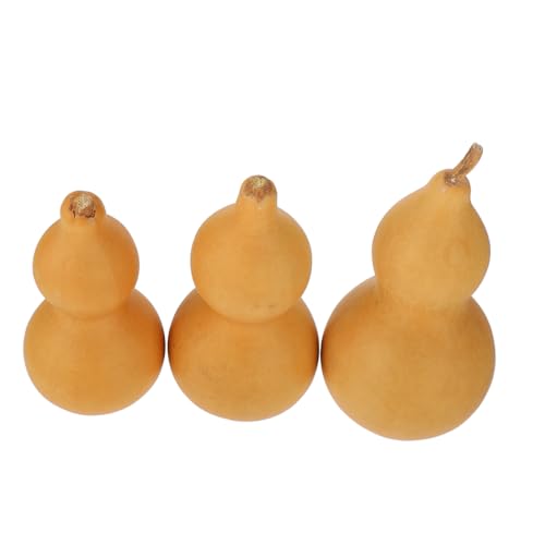 Bouteille séchée en gourde naturelle lot de 3 sculptures porte-bonheur idée cadeau