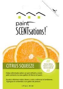 Paint Scentsations 106-01 1 oz. Citrus Squeeze (CSP) - 8ct. Case