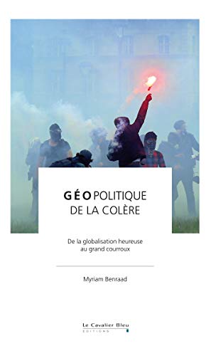 Geopolitique de la colere: De la globalisation heureuse au grand courroux (Géopolitique)