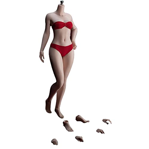 YSBRING 1/6 Scale Female Super Flexible Seamless Figure Body Steel Bone Well-Proportioned Small Breasts 12 Inch Collectible Action Figures with Pale Skin(PLSB2021-S46B)