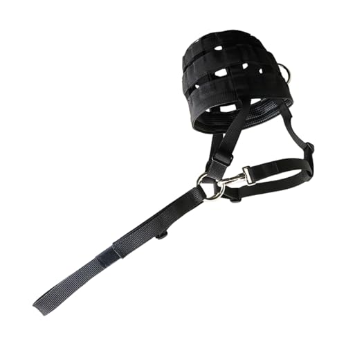 t̗Enz^[tʋCqe bVt}EXK[hveN^[ np