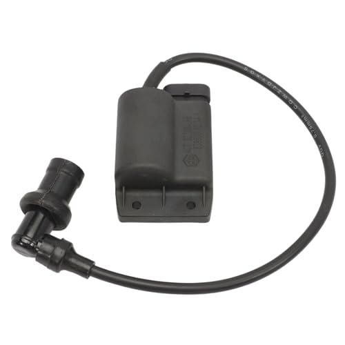 AUROLYNNE Unité d'allumage moteurs pour Piaggio véhicules 50 cc Liberty Zip 50 4T Fly 4 temps CDI véhicules d'allumage