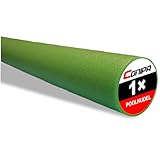 Conipa® - 1 Stück Schwimmnudel (160 x 7 cm) Kinder & Erwachsene (aus Schaumstoff) - Poolnudel & Pool-Spielzeug Set ab 3-10 Jahre (Made IN Europe) - Pool Wassernudel & Pool-Nudel (1 x Grün)