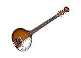Danelectro Baby Sitar - Brown Burst
