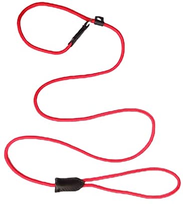 Woofy Dog Show Leash Cord Type Nylon Rope Leash with Adjustable Loop Training Leash Length 60 Inch (Red) (B09G1VDTVX) Amazon Price History, Amazon Price Tracker
