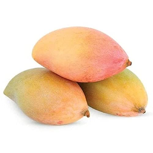 Image of Fresh Mango Totapuri 1 Kg (2-5 pcs).