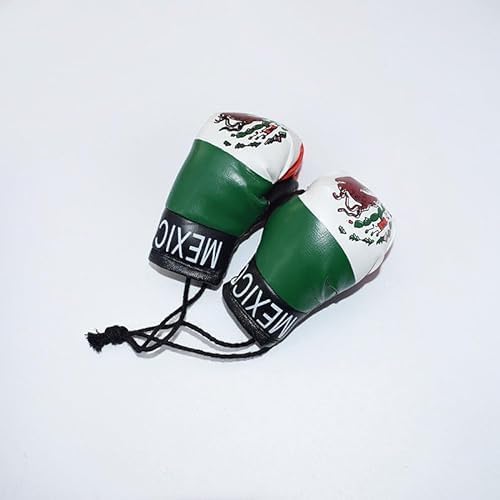 Joayuezo 1 par de mini guantes de boxeo para colgar mini guantes de boxeo para espejo de coche, llavero, ornamento, accesorios de decoración de coche