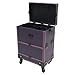 Ncescmal Rolling Makeup Train Case Beauty Trolley Cosmetic Organizer Box with Mirror NEW