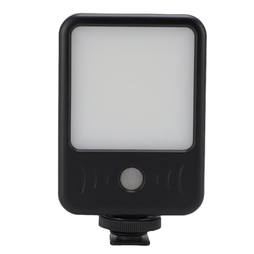 Luz LED para cámara portátil de 49 LED para fotografía de exteriores y vlogs diarios