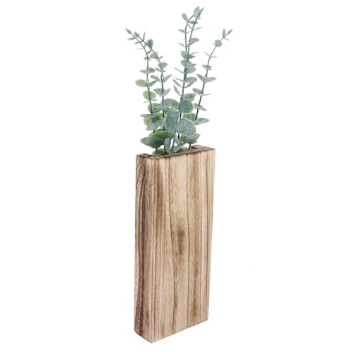 SHINEOFI Maceta Colgante de Pared de Madera Carbonizada 1 PC con Eucalipto Artificial para Decoración Rústica Interior Jarrón Colgante para Suculentas y Plantas de Pared