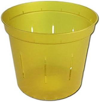 4" Slotted Clear Orchid Pots - 6 Pack Yellow Topaz