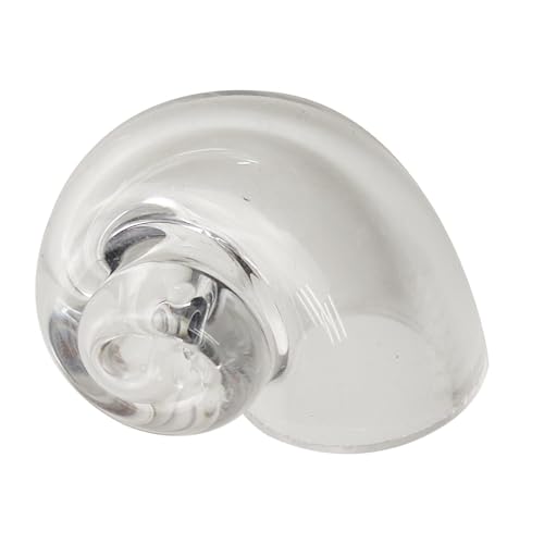 scyca hJpLkAhJLk,hJ̊kKXL ^hJ̊k | ق̑AhJpiAr[`̑Ap̊LA[g