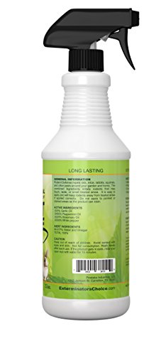 Exterminators Choice Small Animal Protection Rodent Defense Repellent for Rodents, Rats Squirrels mice Nesting/Chewing-All Natural-Rats, Squirrels & Others. - Thumbnail 2