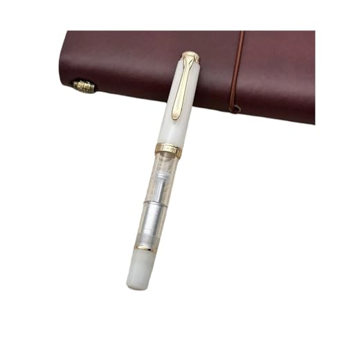 Stylo plume à piston transparent Schmidt EF 0.4mm pour l'écriture