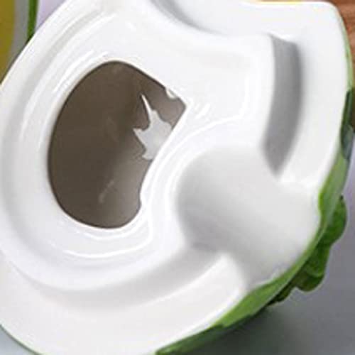 Frascos de especias con etiqueta de salinidad y otros condimentos, puede contener azúcar, tarro de almacenamiento de cerámica de frutas for cocina con tapa y cuchara Tarros