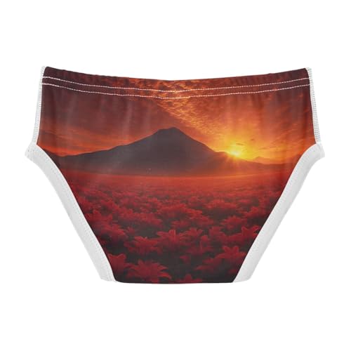 GuoChe Toddler Underwear Boys Cotton Red Lily Sunset Landscape in Sizes 2T,3T, 4T, 5T, 6Y and 8Y2
