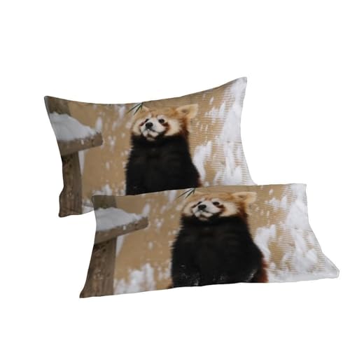 Housse de couette imprimé 3D raton laveur en microfibre avec fermeture - 7