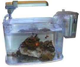 Mini Deco 2 Gal Kit