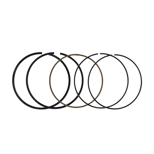Segments de piston de moteur de moto 73,25 mm, idéal pour rénover sa TTR250