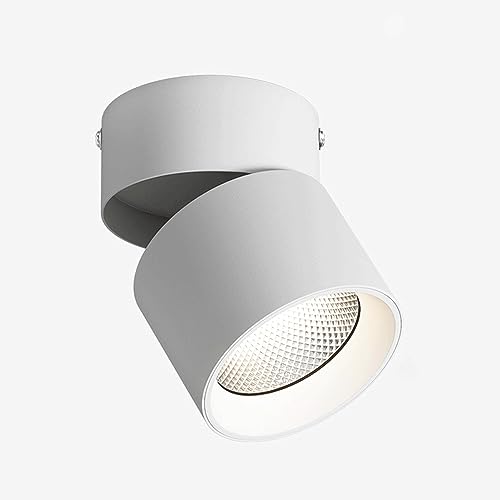 Elksdut LED Surface Mounted Spotlight Small Ceiling Spot Light, Adjustable Angle Rotation Directional Downlight Accent Lamps, Bedroom Drawing Room Gallery Spotlights Background Wall Porch Ceiling Ligh
