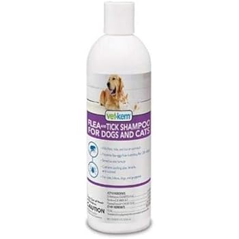 can you give dogs cat food