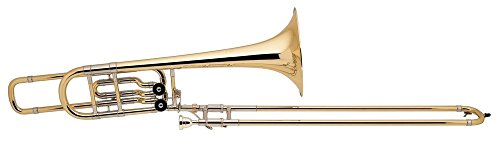 Vincent Bach Trombone Cleaning and Care Product (LT50B2O)