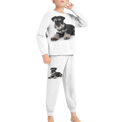 [BFLCWM] pW} LbY ViEU[  j̎q  Y{ q pW}Zbg ㉺Zbg _炩   JWA [EFA lGʗp 