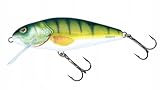 Salmo Perch Wobbler Jerkbaits für Hecht, Zander, Barsch, Hechtköder, Hechtwobbler, Forellenwobbler, Barschwobbler 12cm / 36g / schwimmend / 2.0-4.0m Perch