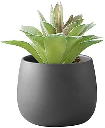 Amazon Co Jp 鉢 植木鉢 陶器 うえき鉢 おしゃれ 北欧 着色された丸いセラミック植木鉢水耕ジューシーなポット盆栽鉢植えマイクロランドスケープポットガーデンプランター 室内 屋外 うえき鉢 Lxlxcs Diy 工具 ガーデン