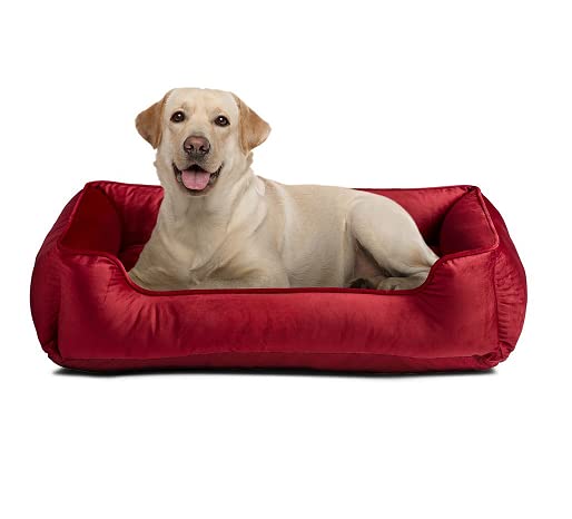 Gorgeous Square Shape Reversable Red Color Ultra Soft Ethnic Designer Velvet Bed for Dog/Cat (Export Quality) (Small) (B0C3WK1JVR) Amazon Price History, Amazon Price Tracker