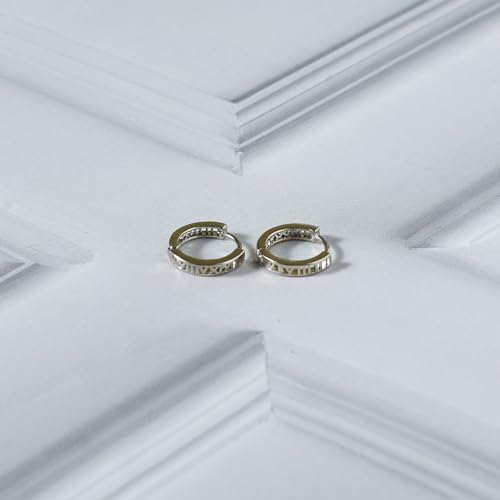 Image of SALTY ALPHA Anti Tarnish Drake Earrings for Men | Ear Hoop for Man | Stylish Fashion Jewellery Accessories for Boys | Minimal Jewelry | Ideal for Gifting | Marriage, Birthday | Gift for Valentine Day