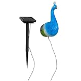 Haushalt International