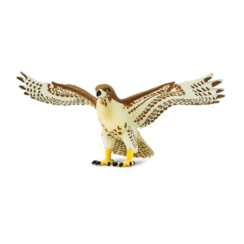 Halcón de Cola Roja 14.6cm| Figura de Ave | No tóxico y libre de BPA | Apto para Niños de 3+ | Safari Ltd