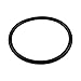 GECKO O-Ring 226 for Aqua-Flo Flo-Master and Circ-Master Pumps 92200141