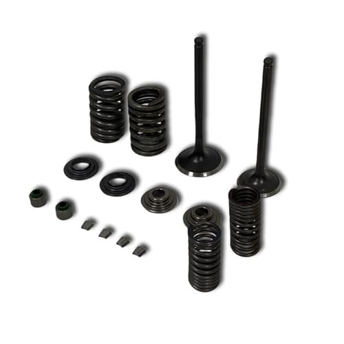 Soupapes de moteur à débits d'air optimisés pour XR150 et CBF150